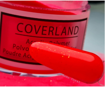 Decoraci&oacute;n 1.5, Varios