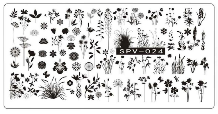Placa de Stamping Rectangular SPV-024 Flores y Ramas Mediana