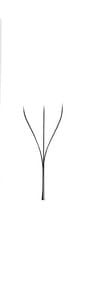 W 0.05 C MIX DE 7-14mm FIBRAS PESTA&Ntilde;AS LASH TECNOLOGICAS